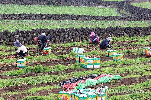 제주 농업인 위한 '웨어러블 로봇' 개발한다…40대 보급 계획