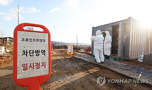 전북 부안 오리농장서 고병원성 AI…전국 17번째 사례(종합)