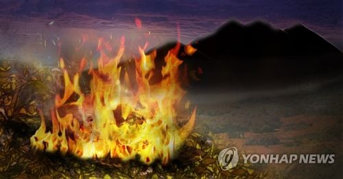 울산 북구 어물동 야산서 불…임야 10㎡ 소실