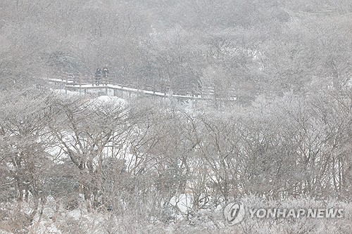 주말 제주 대체로 흐리고 가끔 비 또는 눈