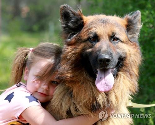 '성탄절의 기적'…9일 찾아다닌 실종 반려견 돌아와 "딩동"