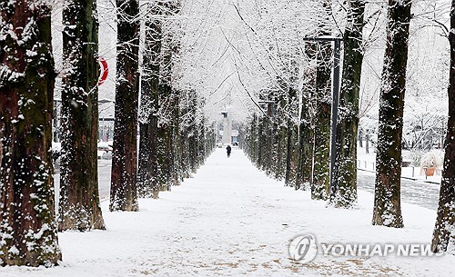 전남 서부 오후 들어 다시 눈 소식…영광에 대설주의보