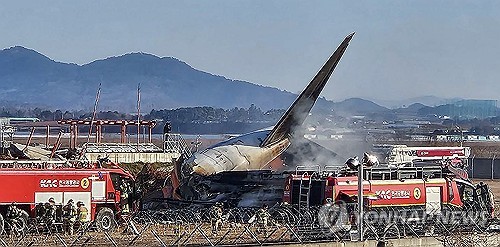 무안 여객기 사고 목격자 "착륙 중 새 떼 충돌 후 엔진서 화재"