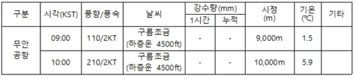 항공기 사고 당시 무안공항 맑은 날씨에 바람도 거의 없어