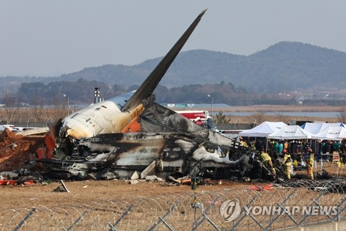 공항 '버드 스트라이크' 증가세…퇴치기·조직 있지만 역부족