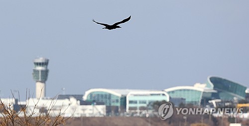 무안 '조류충돌' 우려 2015년에도 제기…퇴치반은 겨우 4명 [제주항공 참사]