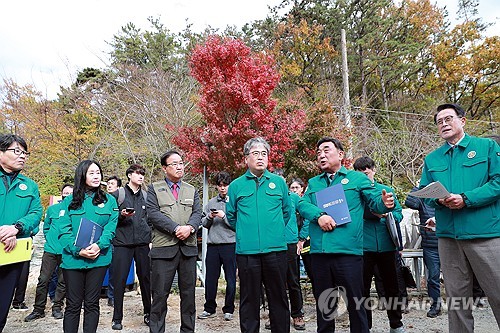 울산지역 소나무재선충병 방제에 올해 328억원 투입