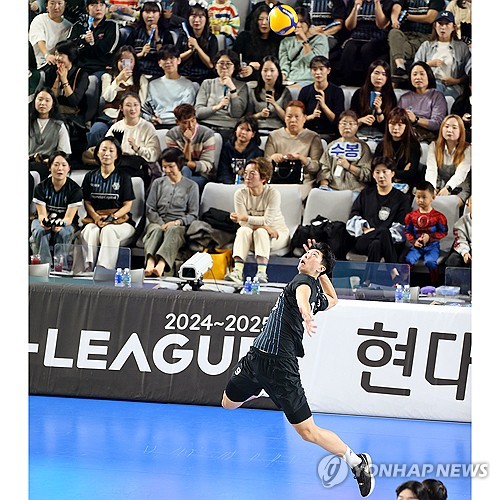 프로배구 전반기 남자부 현대캐피탈·여자부 흥국생명 흥행 주도