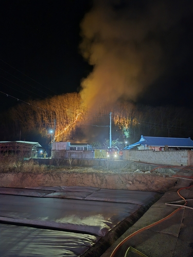 영천서 주택 화재가 산불로 번져…0.3㏊ 소실