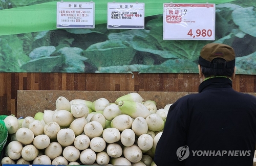 설 앞두고 배추 59%·무 77% 올라…이번주 물가관리 대책