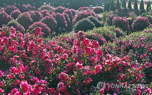 제주 가끔 비 또는 눈…낮 최고 11∼12도