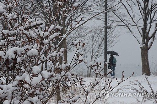 강원 10㎝ 안팎 눈…대설특보로 국립공원 통제·항공편 결항