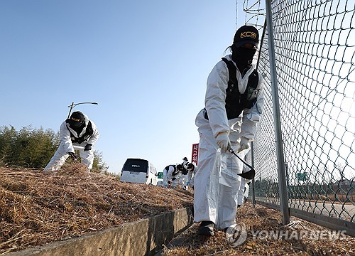 경찰 '제주항공 참사 우리 소행' 일본발 메일 국제공조 수사