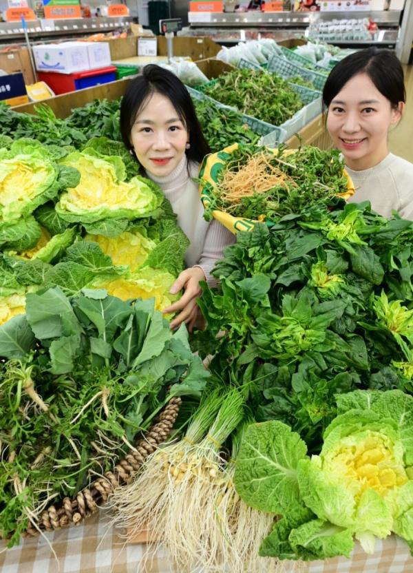 ‘봄나물’ 미리 맛보세요