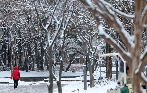  7일 광주 서구 한 공원에서 시민이 산책을 하고 있다. [사진=연합]