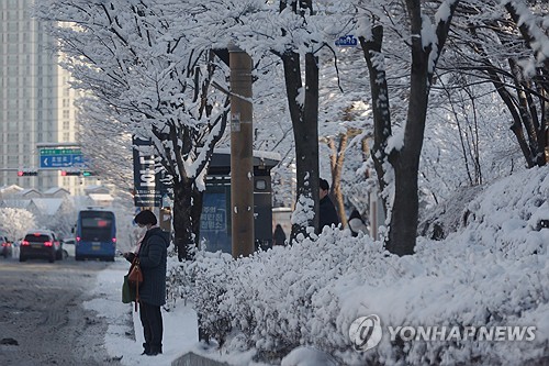 전북도, 대설·한파 대비 긴급 점검회의…"피해 최소화"