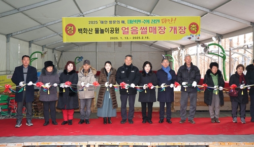 태안 백화산 얼음썰매장 개장…설날 오전 휴장