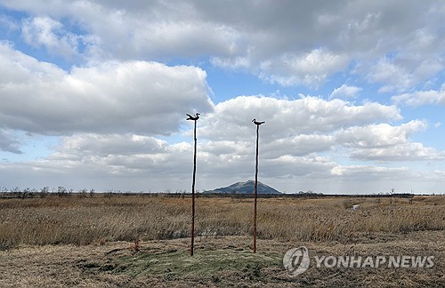 '새들아, 편히 쉬렴'…국립공원공단, 새만금에 나무 솟대 설치