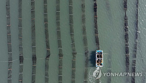 지난해 김 산지가격 두배…"수산물 수출 1위 김 수요 늘어"