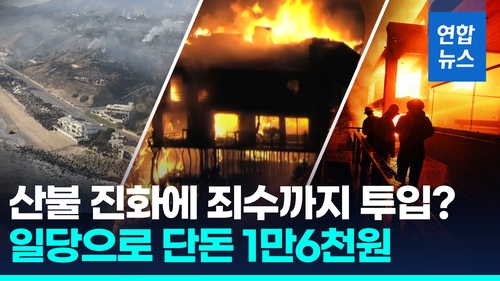 [영상] '억만장자 해변' 600억 집도 잿더미…산불진화에 죄수까지 투입