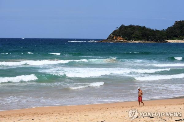 시드니, 해변의 '검은 공' 미스터리…또 정체불명 구슬 골머리