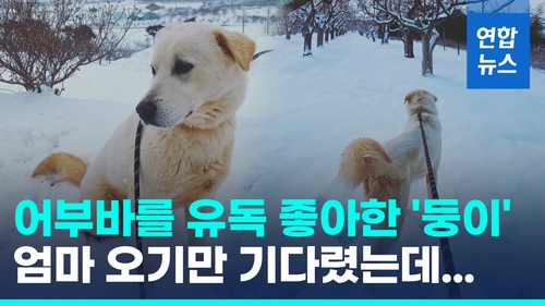 [영상] "울지 말고 잘가"…참사로 가족 잃고 홀로 남겨진 7살 '둥이'