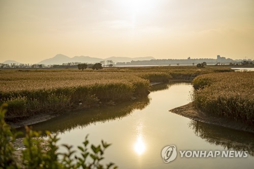 부산 낙동강 하구 생태계 보호 논의 시민 공청회