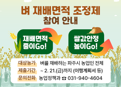 파주시, 벼 재배면적 조정제 추진…688.3ha 감축 목표