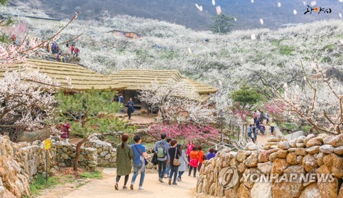 '봄의 서막' 광양 매화축제 3월 7일 개막