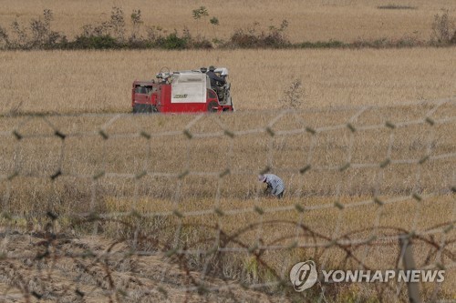 파주시 올해 축구장 964개 규모 벼 재배면적 감축