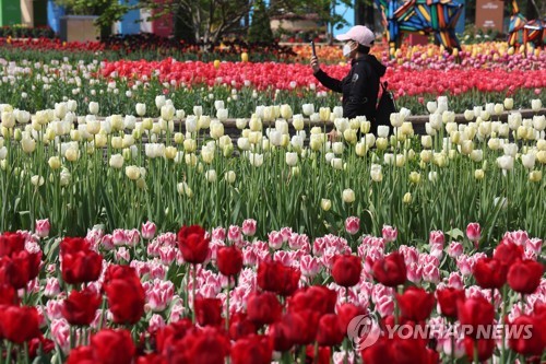 2025고양국제꽃박람회, 4월25일 일산호수공원서 개막