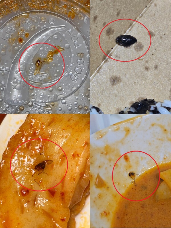 동대문엽기떡볶이 제품에서 발견된 벌레. [사진=중앙이코노미뉴스가 확보한 온라인커뮤니티 사진] 