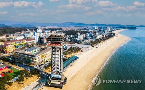 '충남 방문의 해' 밝았다…대천해수욕장서 관광객 환영 행사