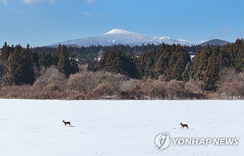 제주, 맑다가 차차 흐려…낮 최고기온 12∼14도