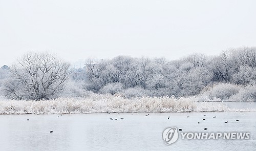 강원 대체로 흐림…낮 최고 내륙 7도·동해안 11도