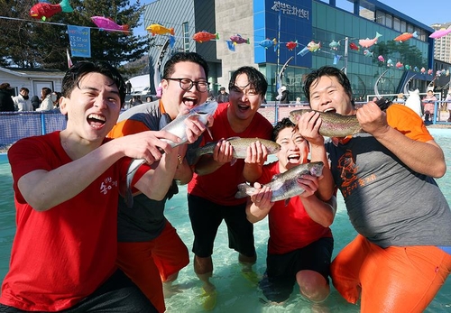 평창송어축제, 100% 당첨 행운 룰렛·황금송어잡기 이벤트 풍성