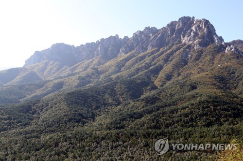 녹색연합 "설악산 울산바위 케이블카 조성 즉각 철회하라"