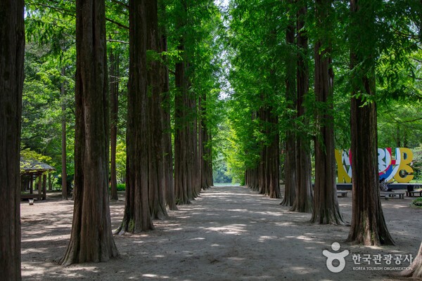 강원도 '춘천 남이섬'이 '2013~2014 한국관광 100선' 첫 회부터 지금까지 7회 연속으로 문화체육관광부와 한국관광공사가 발표한 '한국관광 100선'에 선정됐다. [사진=한국관광공사]