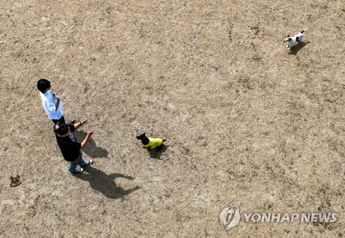 창원시, 반려견 문제행동 교정 '댕댕이 학교' 운영한다