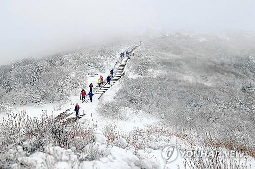 산청 지리산 6.4㎝ 눈 쌓여…경남 도로 6곳 통제