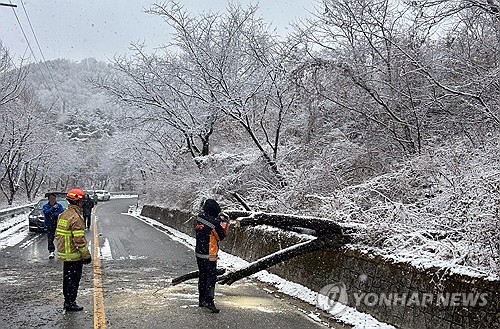 [날씨] 설 앞두고 전국에 눈비 계속…서울 아침 최저 -5도