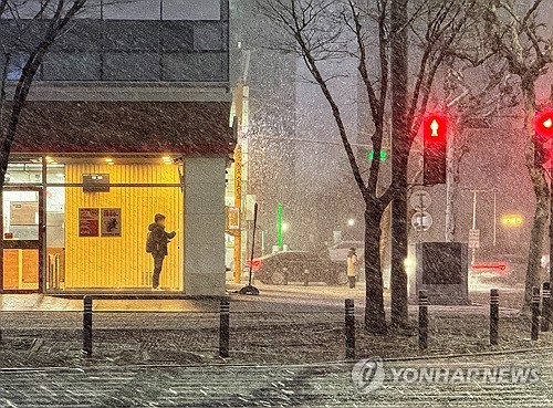 광주와 전남 13곳에 대설주의보…"추가 대설특보 발표 가능성"