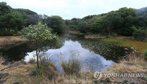 '2월 2일은 세계습지의 날' 제주 동백동산서 기념 행사