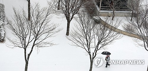 올해 설날은 '雪날'…대부분 지역 29일 낮까지 눈