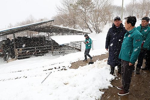 대설경보 대부분 해제… 충남·경기 축사·비닐하우스 피해