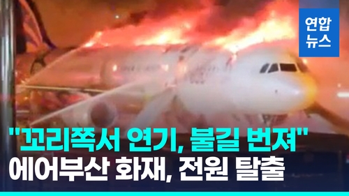 [영상] "꼬리쪽서 연기, 불길 번져"…김해공항 에어부산 화재, 전원탈출