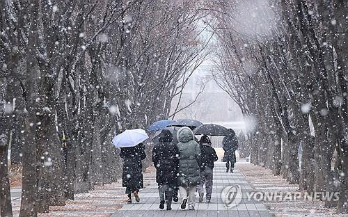 충북, 눈 내리는 설날…낮 기온 -4∼0도