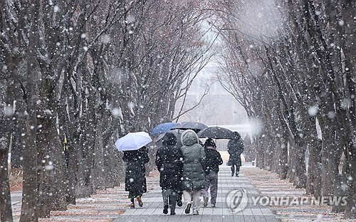 대전·세종·충남 낮까지 많은 눈…3∼10㎝ 더 내린다