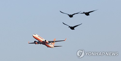 기후변화에 무안 물새 월동지수 265%↑…조류충돌 위험도 커진다