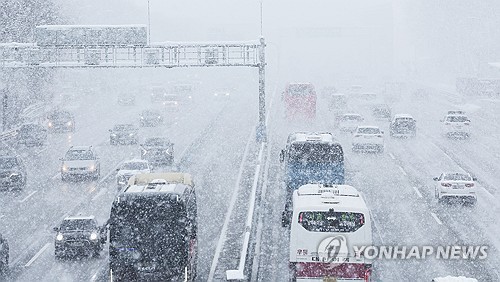 '설 눈 폭탄'에 항공기·여객선 결항 계속…축사 붕괴 잇따라